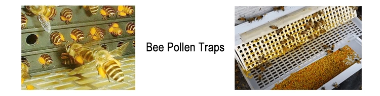 Beehall Organic Food Factory Hot Sale Nop EOS Certificates Honey Bee Pollen