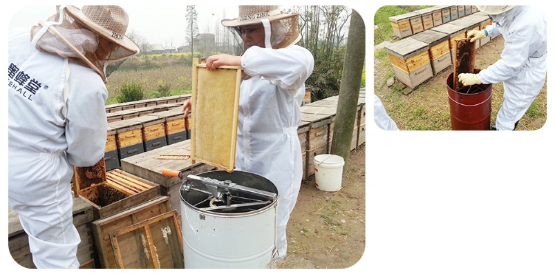 Beehall Bee Products Supplier Nop EOS Certificates Wholesale Honey