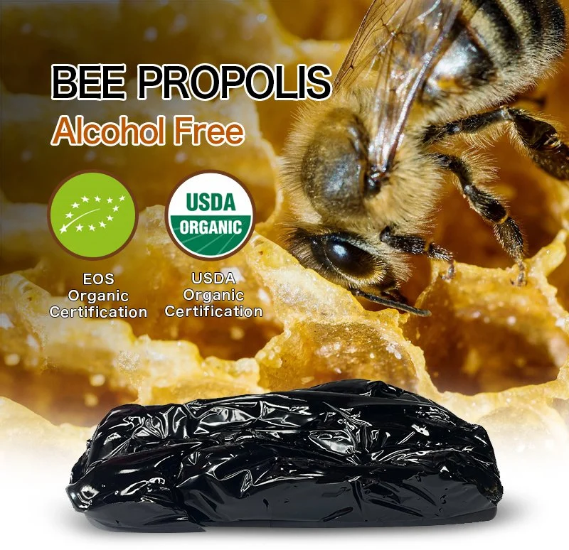 Beehall Health Products Manufacturer 100% Pure Natural Raw Propolis Cream