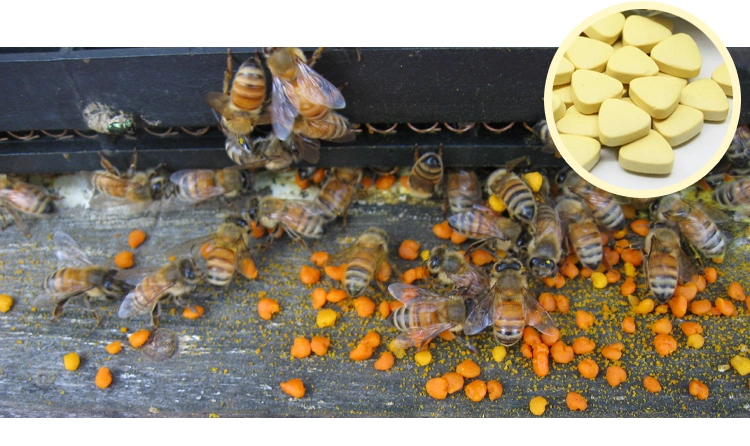 Beehall Organic Certificates Raw Bee Pollen Pills